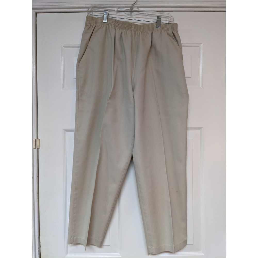 Briggs New York Pants